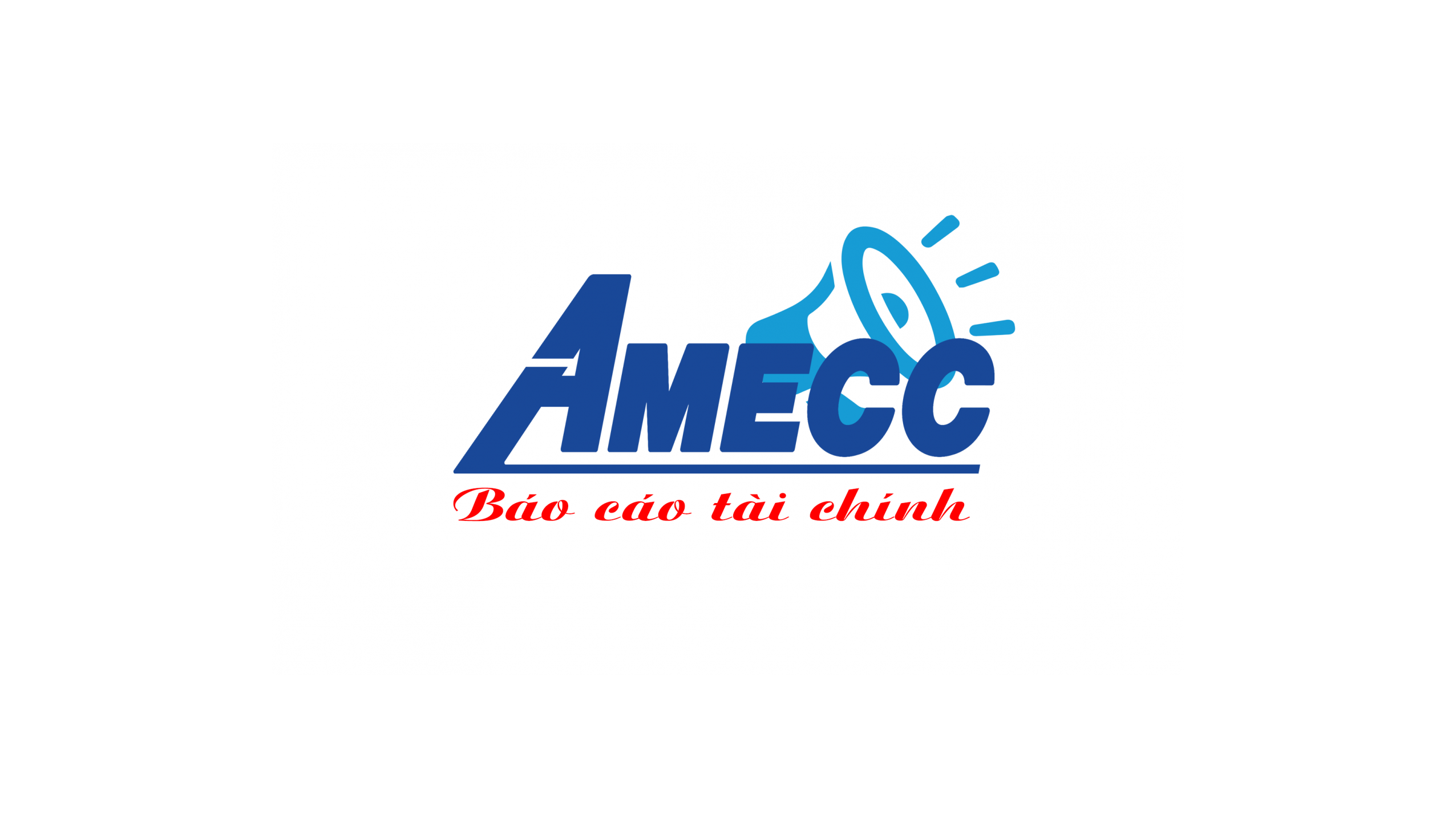 Báo cáo kiểm toán vốn năm 2018 của Công ty CP cơ khí xây dựng AMECC
