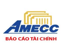 Báo cáo tài chính tổng hợp Quý IV.2018 CTCP cơ khí xây dựng AMECC