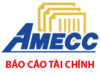 AMECC - Báo cáo tài chính hợp nhất bán niên 2017
