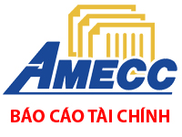 AMECC - Báo cáo tài chính năm 2012